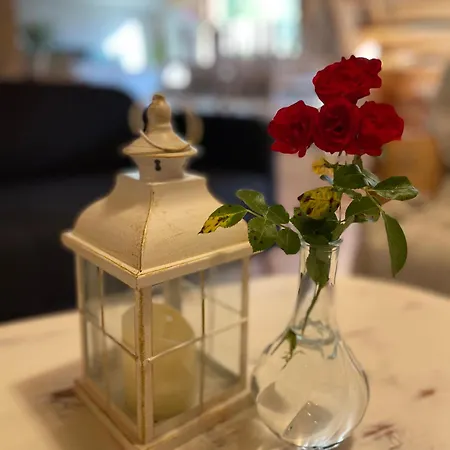 Dziadka Sudety - Niedaleko Czarna Gora * Stronie Śląskie